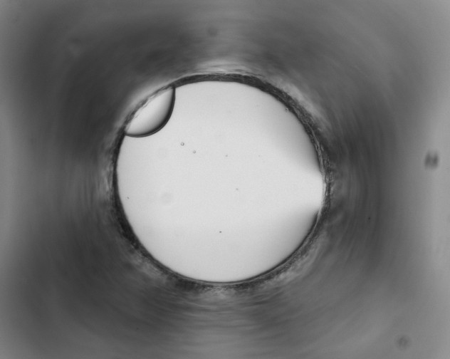 X0000102871358200809151225