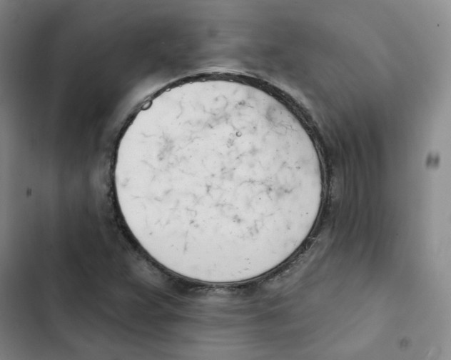 X0000102871359200809151225