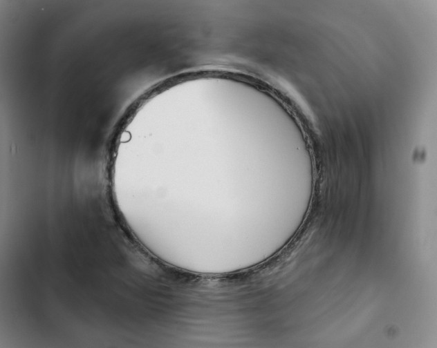 X0000102871360200809151225