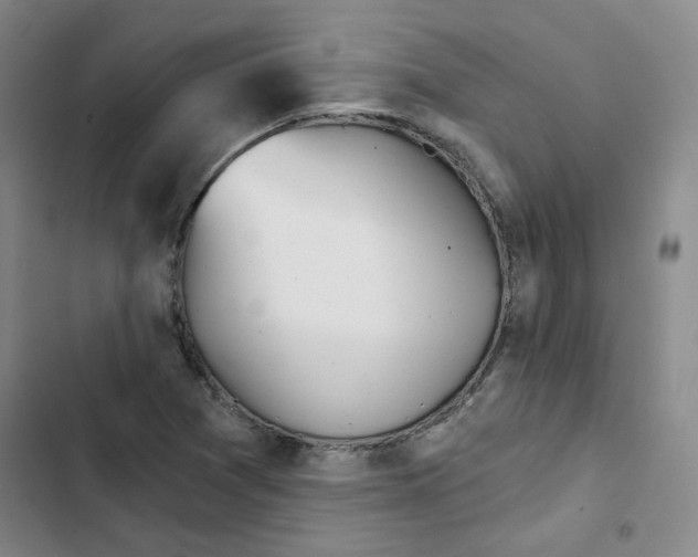 X0000102871361200809151225