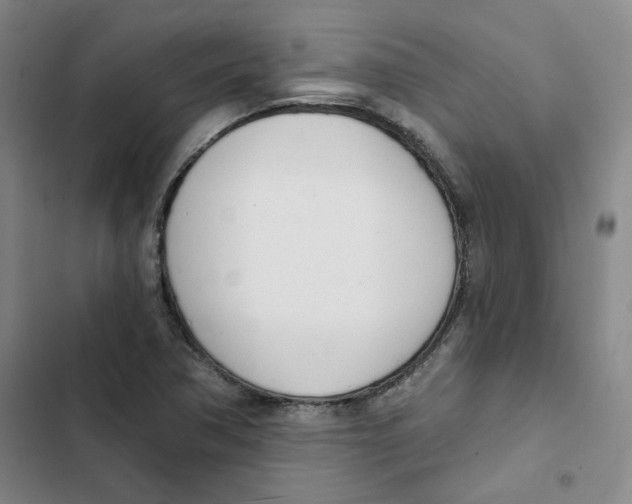 X0000102871362200809151225