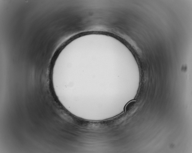 X0000102871364200809151225