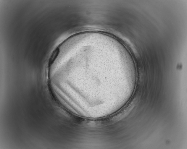 X0000102871365200809151225