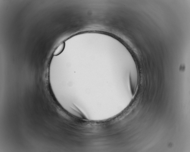 X0000102871366200809151225