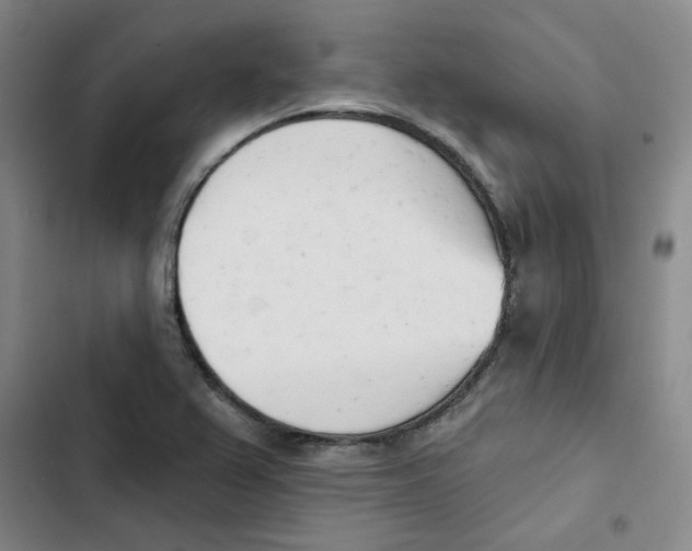 X0000102871367200809151225