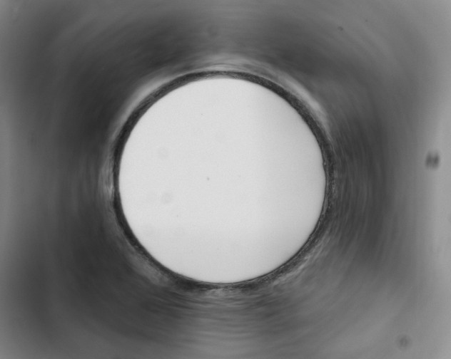 X0000102871368200809151225