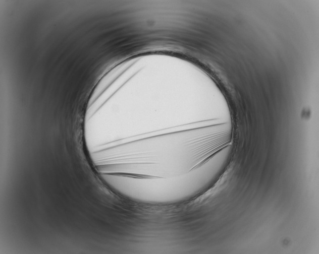 X0000102871369200809151225