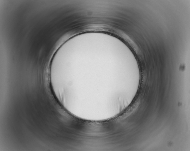 X0000102871370200809151225