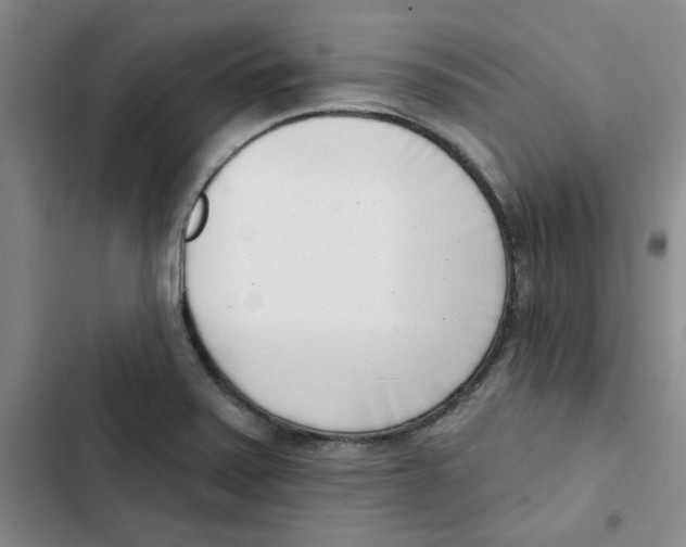 X0000102871371200809151225