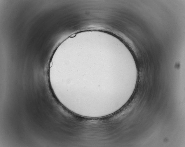 X0000102871373200809151225