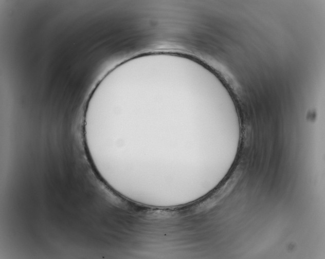 X0000102871374200809151225