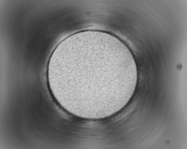 X0000102871375200809151225