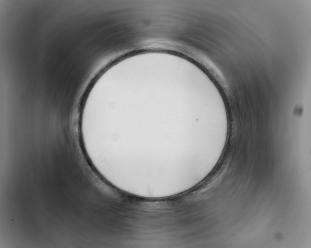 X0000102871376200809151225