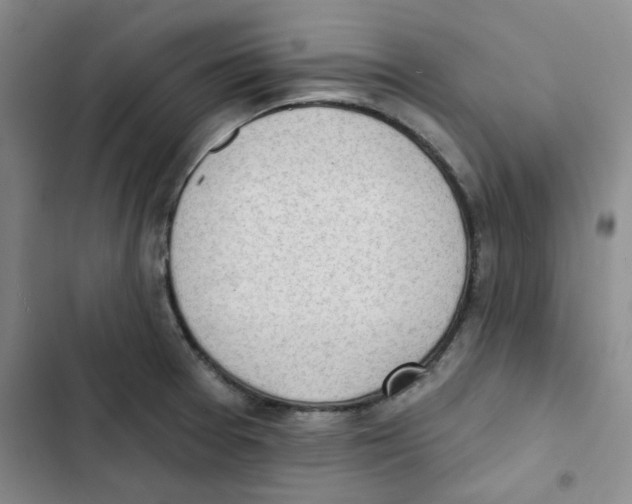 X0000102871377200809151225