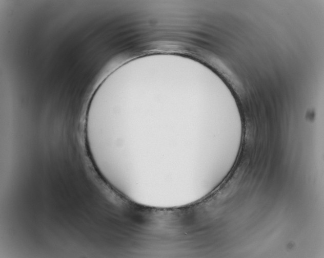 X0000102871378200809151225