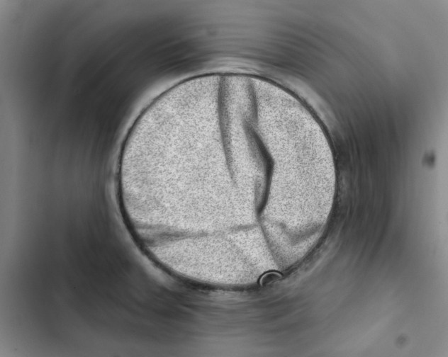 X0000102871379200809151225