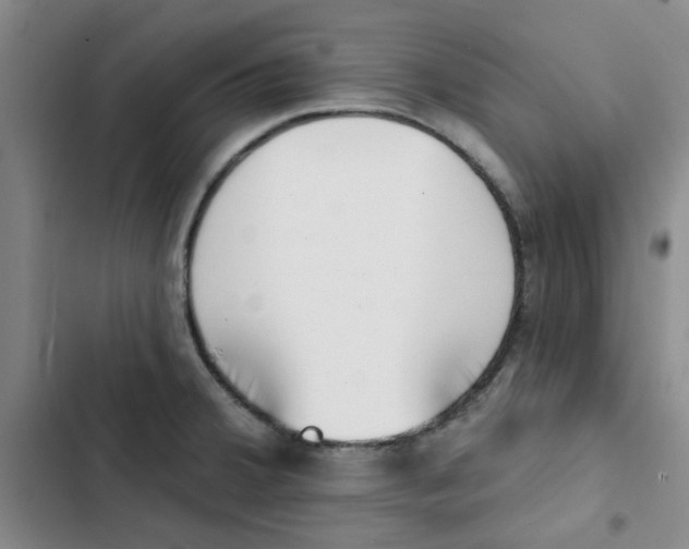 X0000102871380200809151225