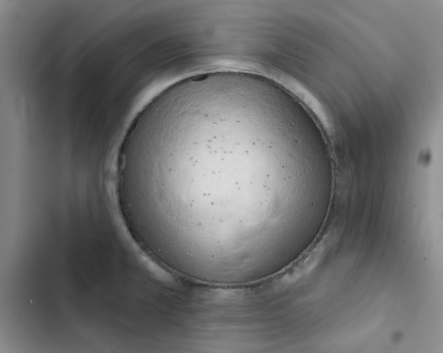 X0000102871381200809151225