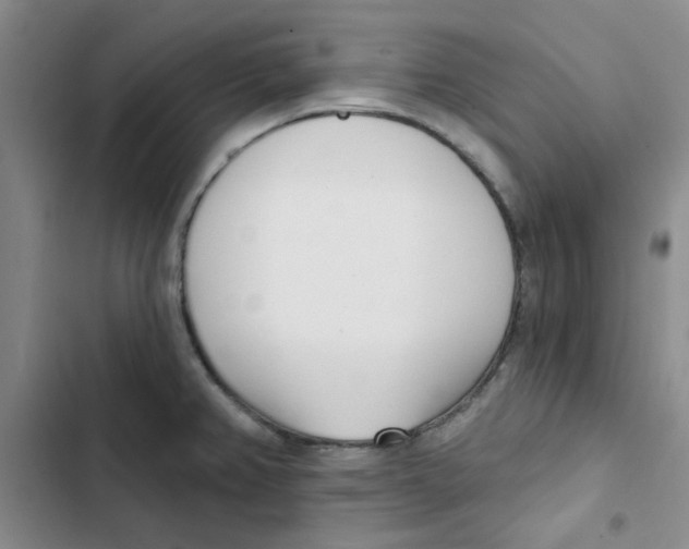 X0000102871382200809151225