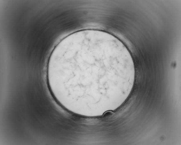 X0000102871383200809151225