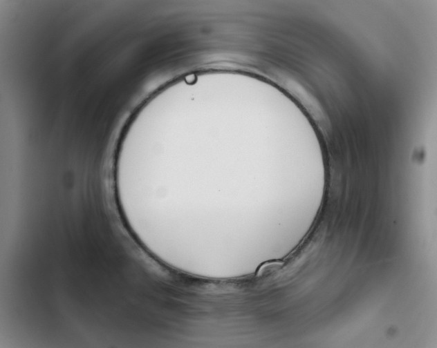 X0000102871384200809151225