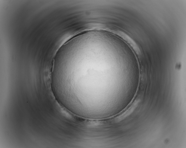 X0000102871385200809151225