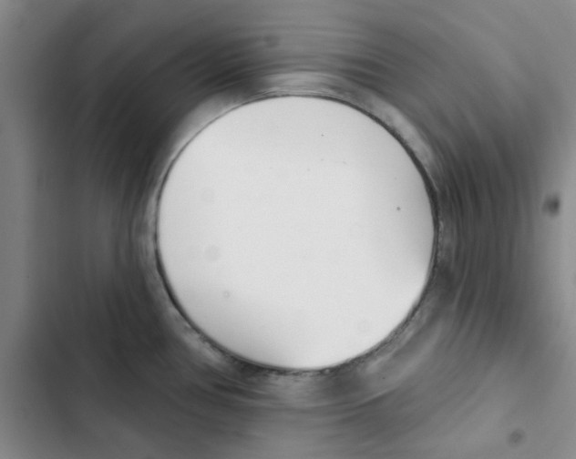 X0000102871386200809151225