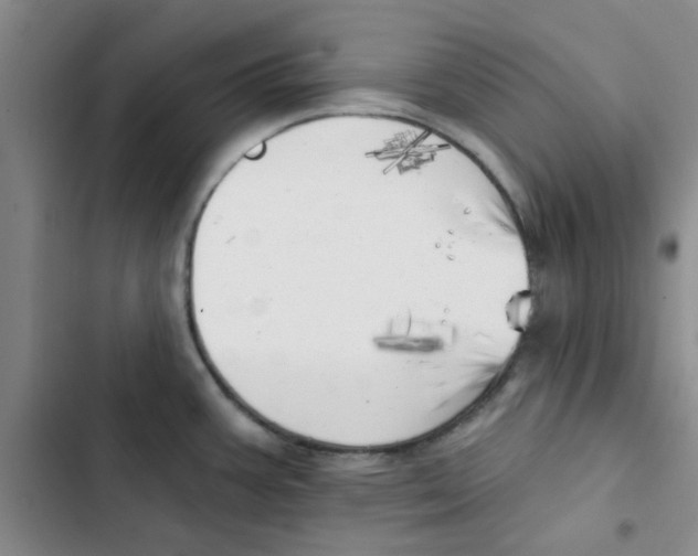 X0000102871387200809151225