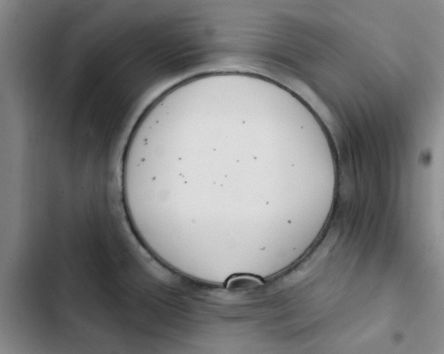 X0000102871388200809151225