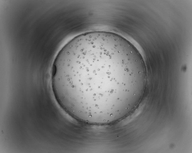 X0000102871389200809151224