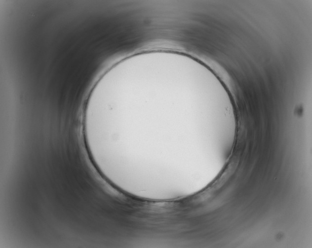 X0000102871390200809151224