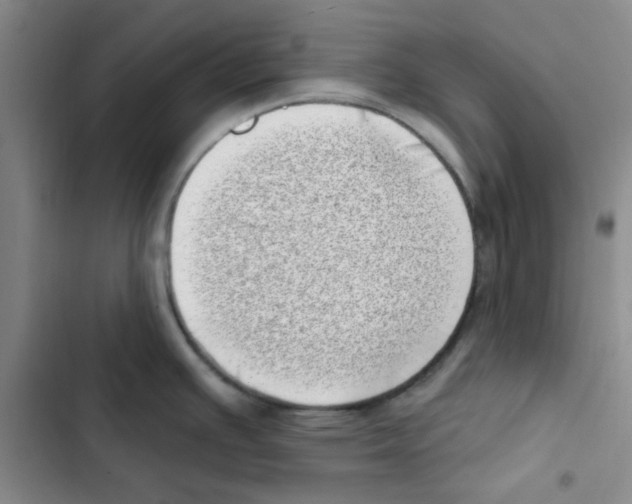 X0000102871391200809151224