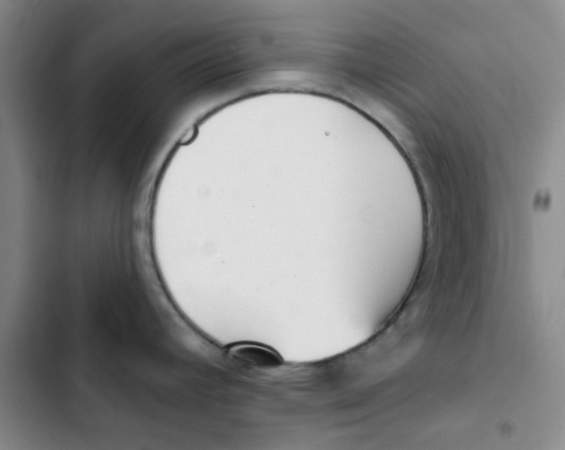 X0000102871392200809151224