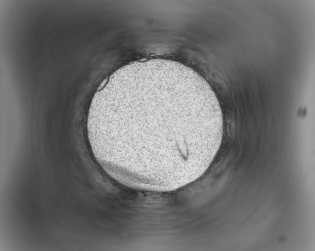 X0000102871393200809151224