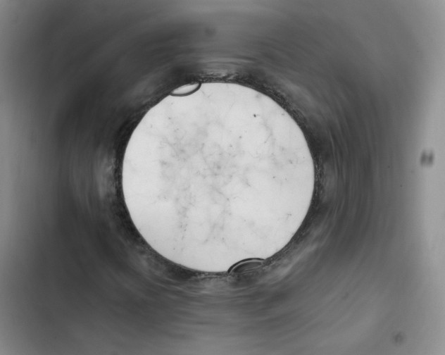 X0000102871394200809151224