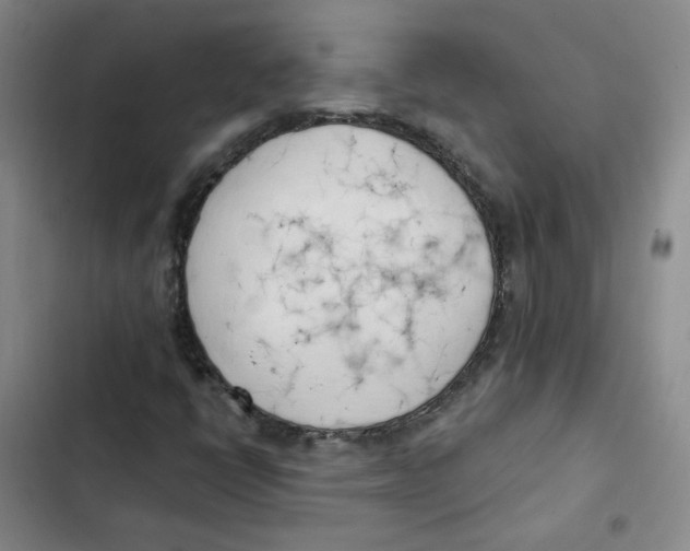 X0000102871398200809151224