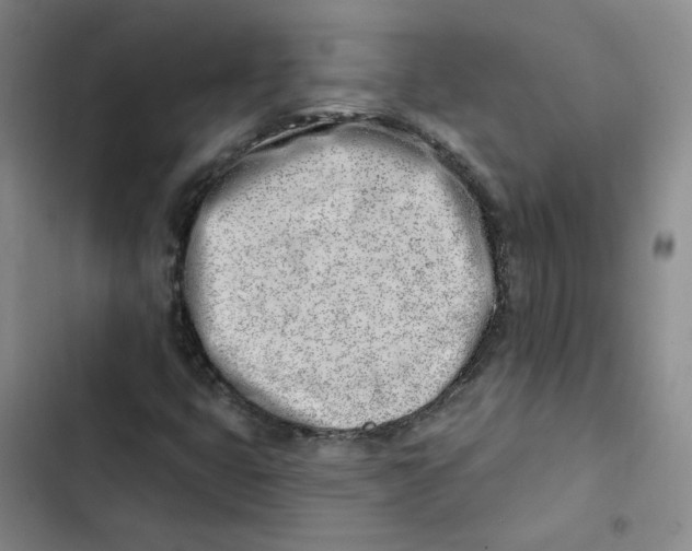 X0000102871399200809151224