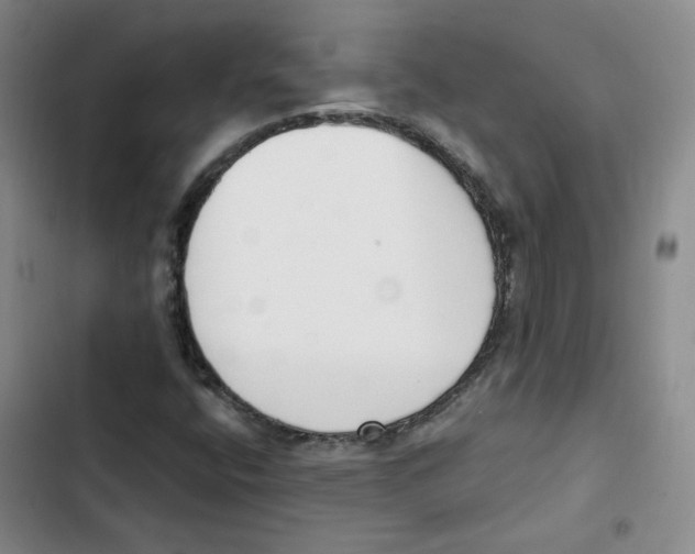 X0000102871400200809151224