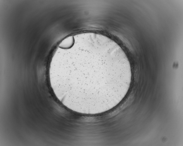 X0000102871402200809151224