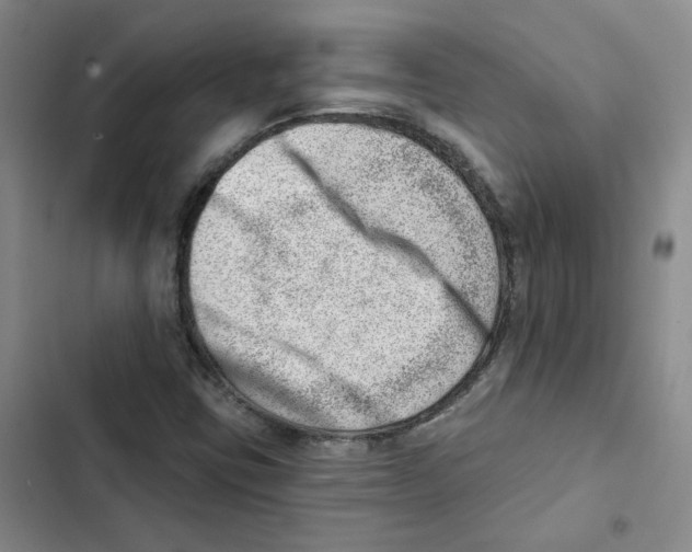 X0000102871403200809151224