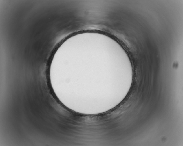 X0000102871404200809151224