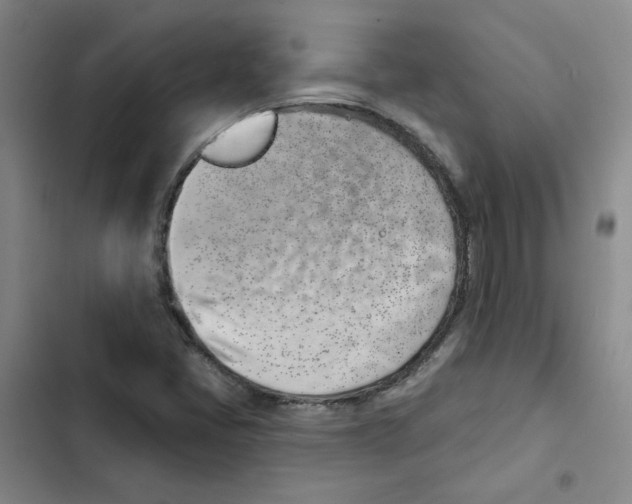 X0000102871405200809151224