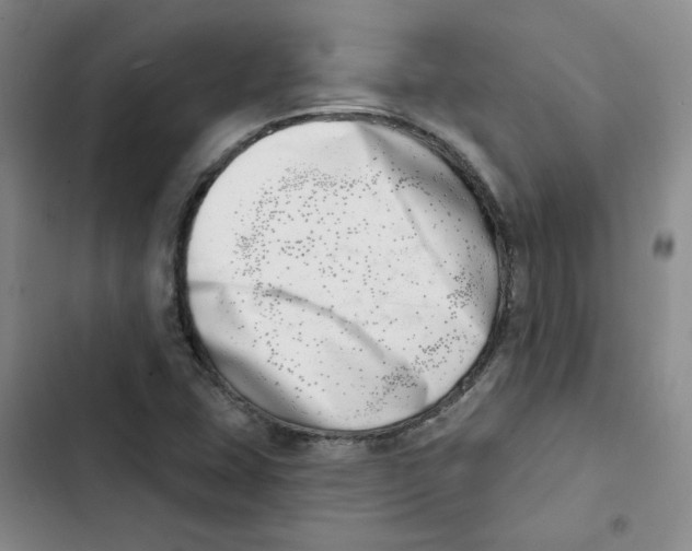 X0000102871407200809151224