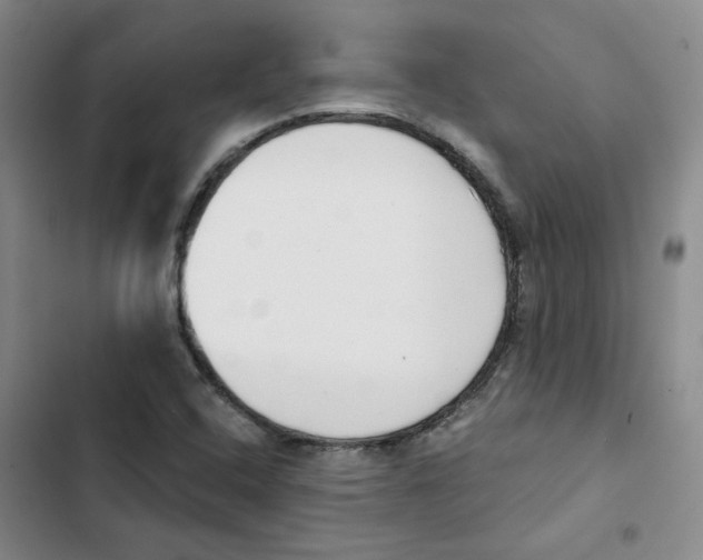 X0000102871408200809151224