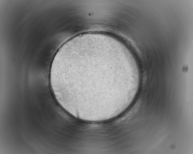 X0000102871409200809151224