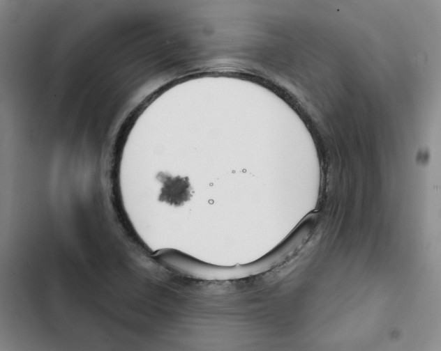 X0000102871410200809151224