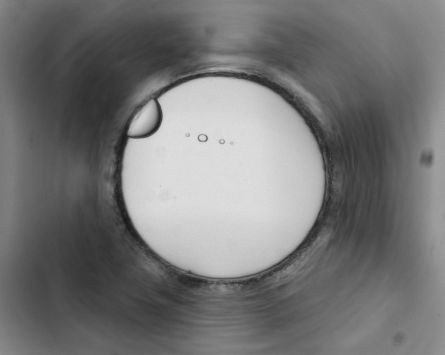 X0000102871411200809151224