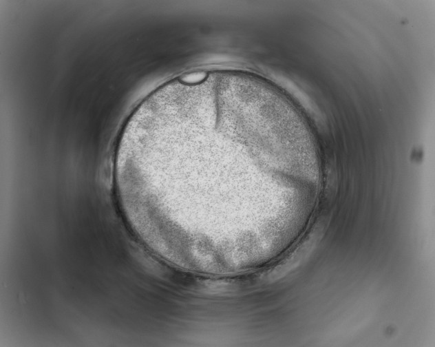 X0000102871413200809151224