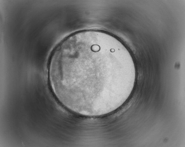 X0000102871414200809151224