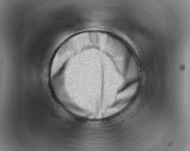 X0000102871415200809151224